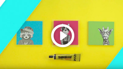 Cuadritos de animales hípster