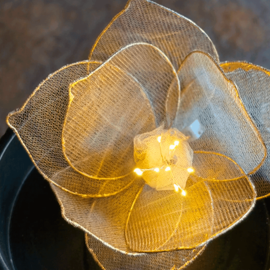 suprabond_transparente